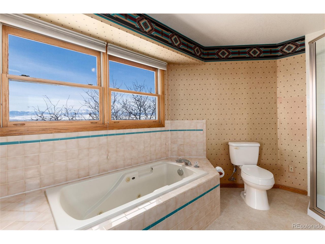 10650 Yellowstone Road Longmont, CO 80504 - Photo 24 of 43 Jetted tub