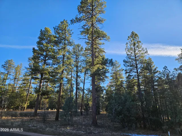 $1,275,000 | 2500 South Pinegrass Road, Show Low, AZ 85901