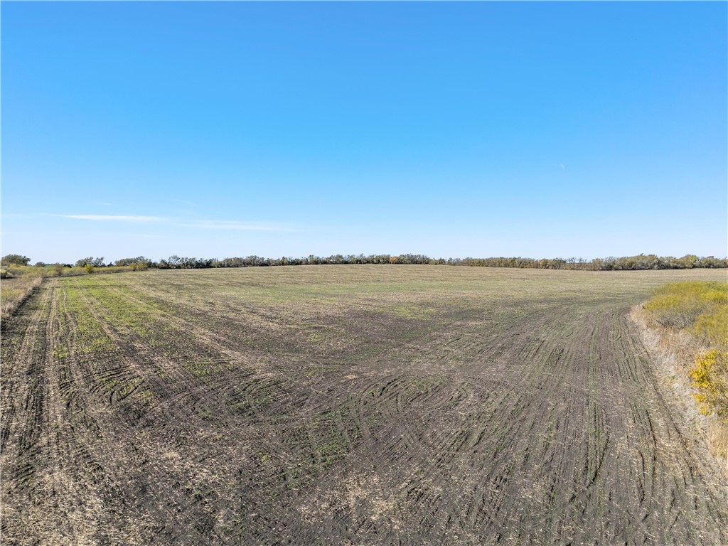 142 Rd Riesel Tx 76682 Road Riesel, TX 76682 - Photo 8 of 10