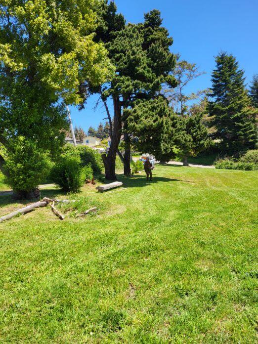 6498 Bell Terrace Road Eureka, CA 95503 - Photo 35 of 36