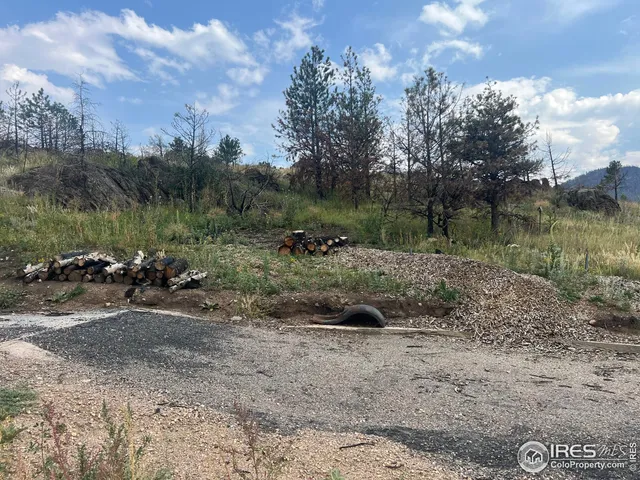 a view of a dry yard with trees