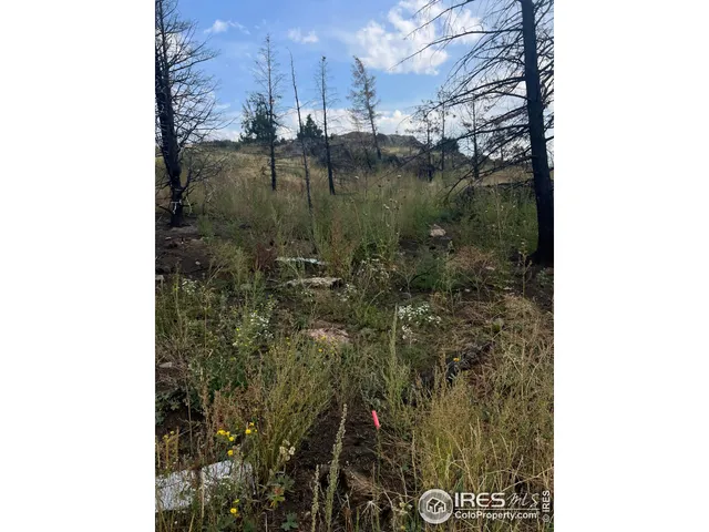 a view of a glass shower door