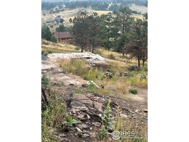 a view of a bunch of trees