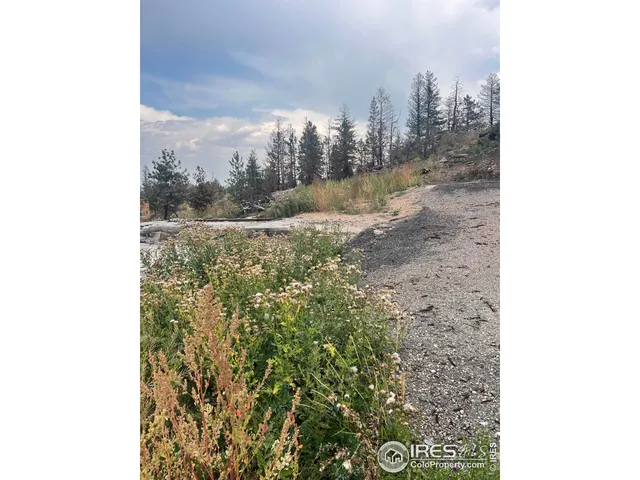 $89,900 | 883 Palisade Mountain Drive, Drake, CO 80515