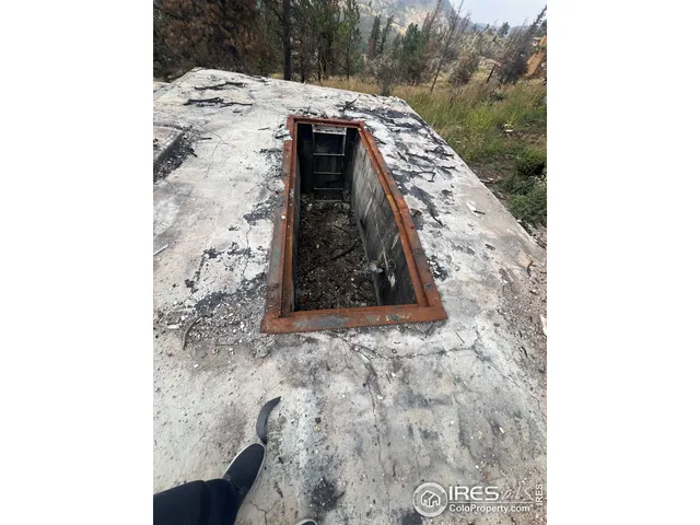 a view of a dirt road with trees
