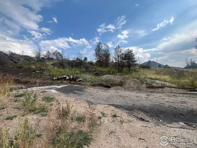 a view of a dry yard with trees and stairs
