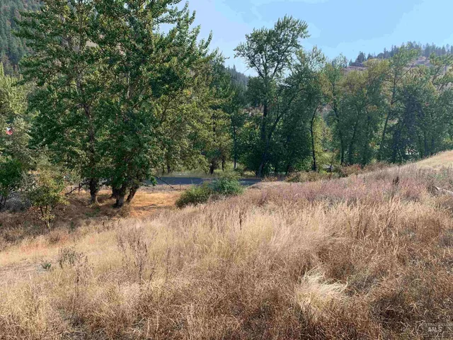 $600,000 | 120 Three Bear Lane, Stites, ID 83552