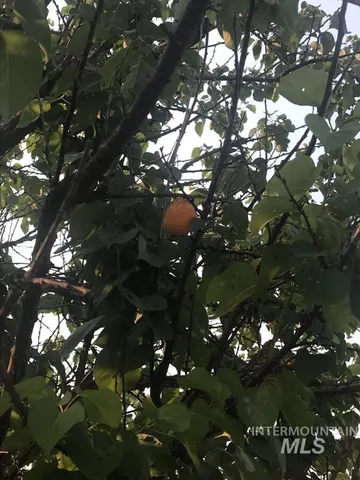 $600,000 | 120 Three Bear Lane, Stites, ID 83552