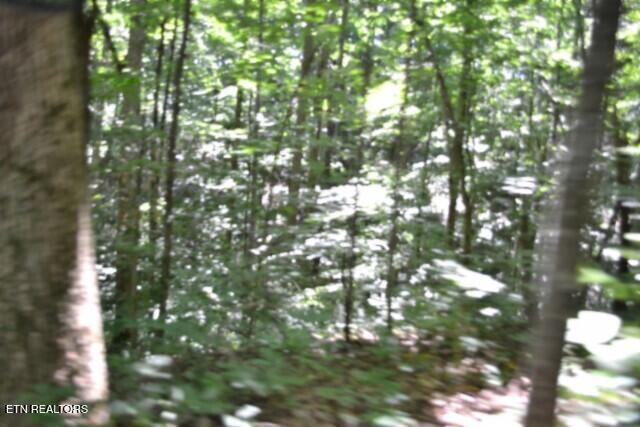 2390 Pea Ridge Fire Tower Road Celina, TN 38551 - Photo 24 of 58 DSC_0105