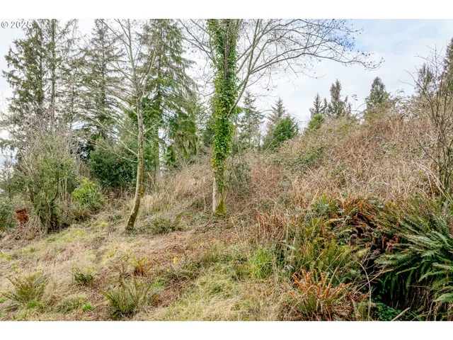 $99,000 | 8th And Street East, Bay City, OR 97107