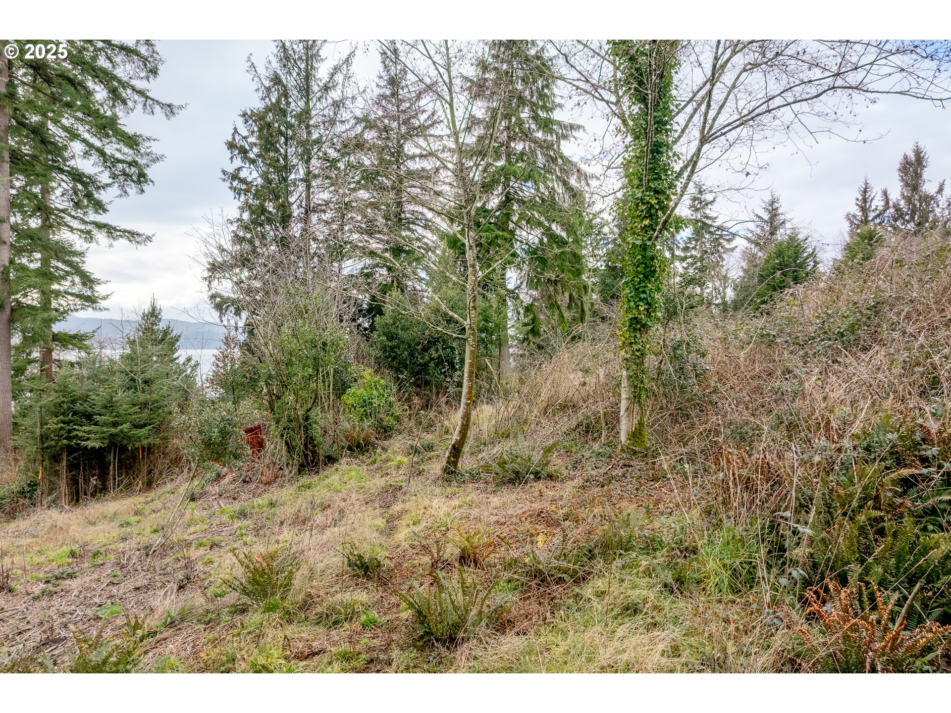 8th And Street East Bay City, OR 97107 - Photo 21 of 21