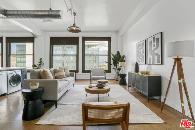 a living room with furniture potted plant and a large window