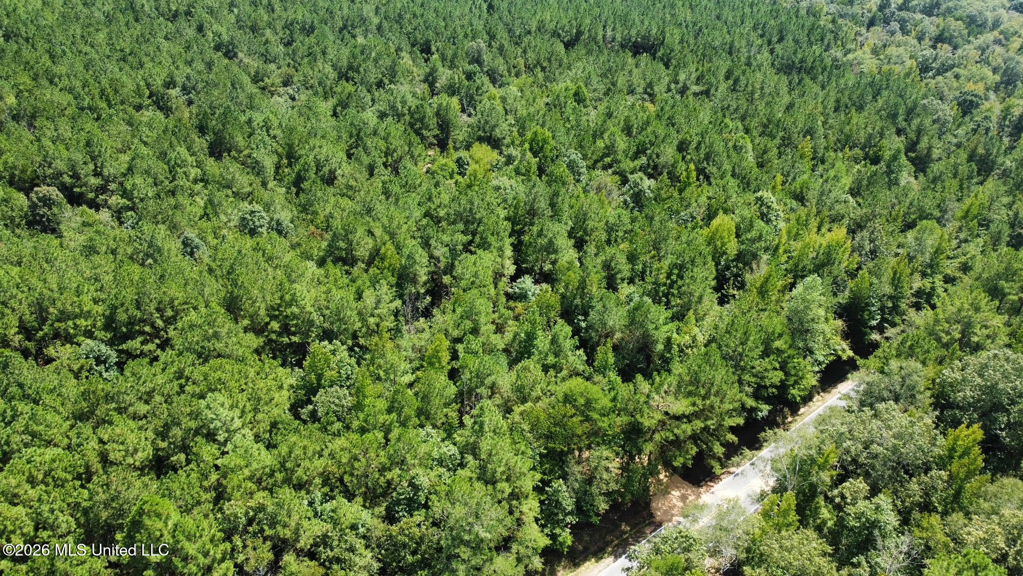 3 Clara Foote Road Braxton, MS 39044 - Photo 22 of 27 74