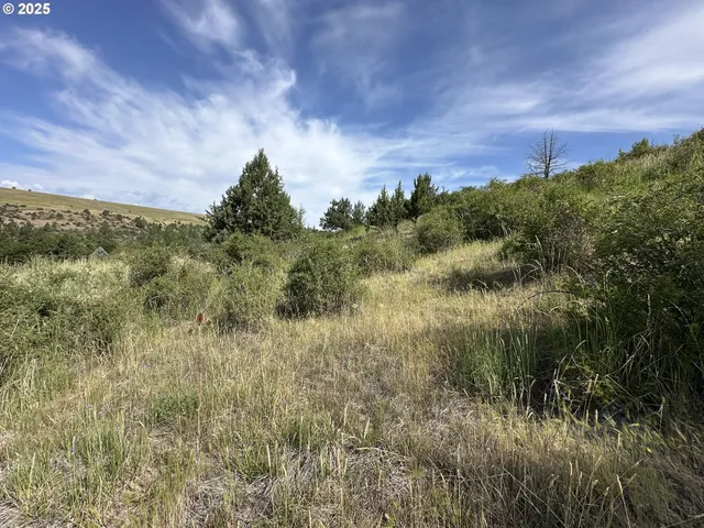 $360,000 | 741 North Washington Street, Prairie City, OR 97869