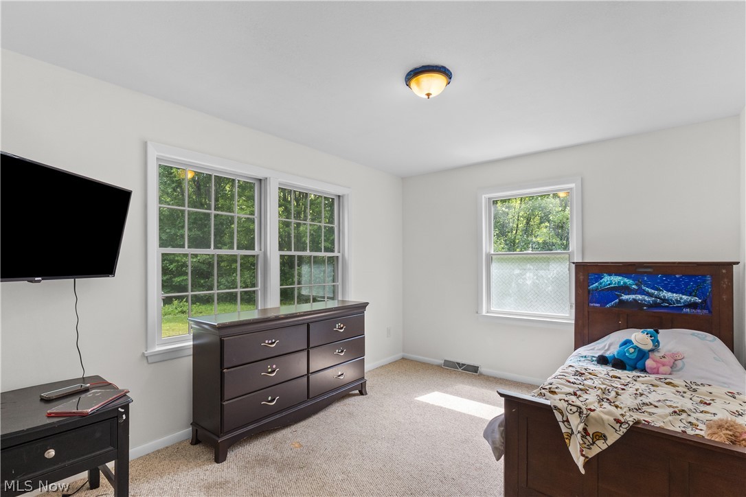 1318 Daly Road Ashtabula, OH 44004 - Photo 29 of 42