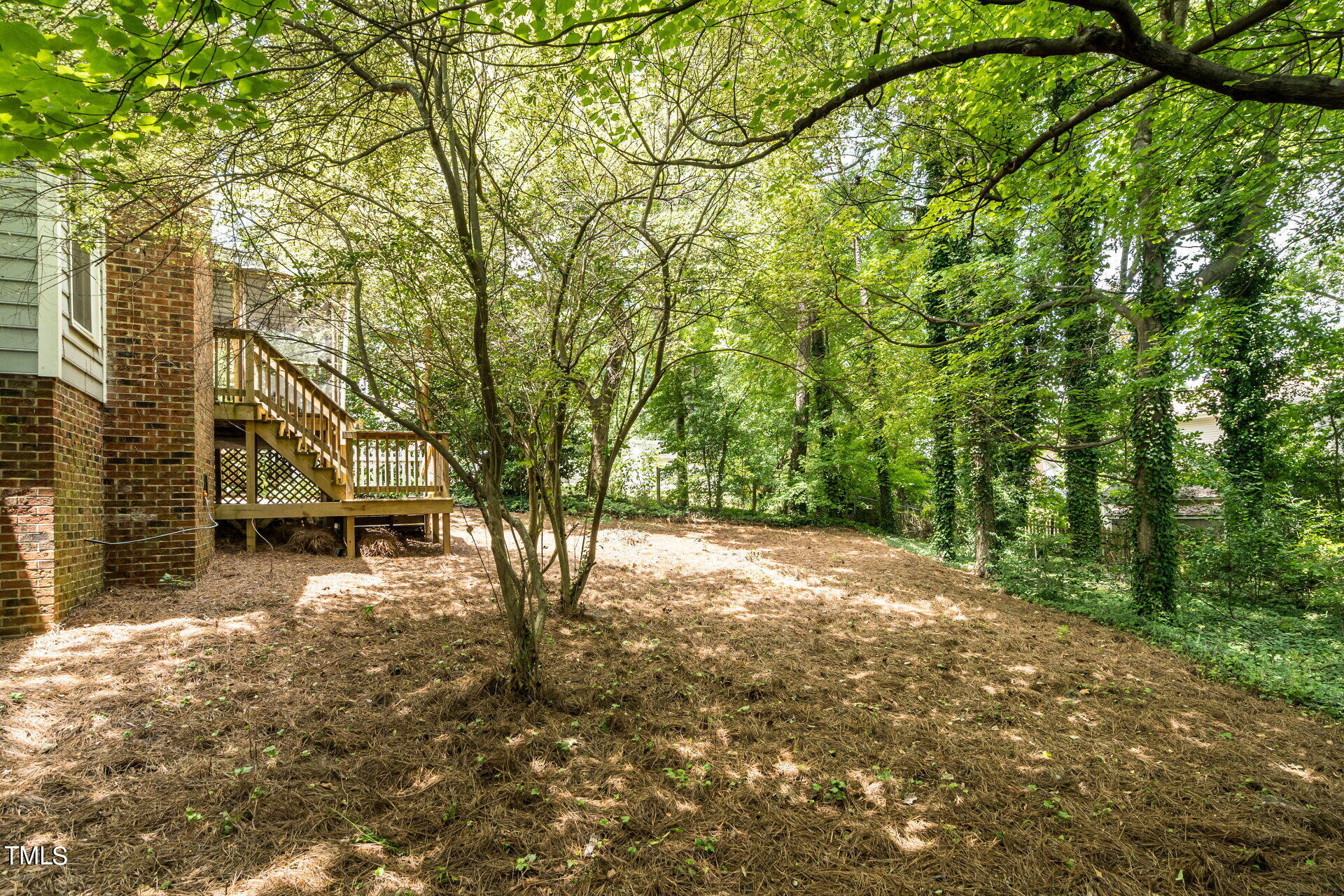 2017 Travianna Court Raleigh, NC 27609 - Photo 26 of 28 New Back yard