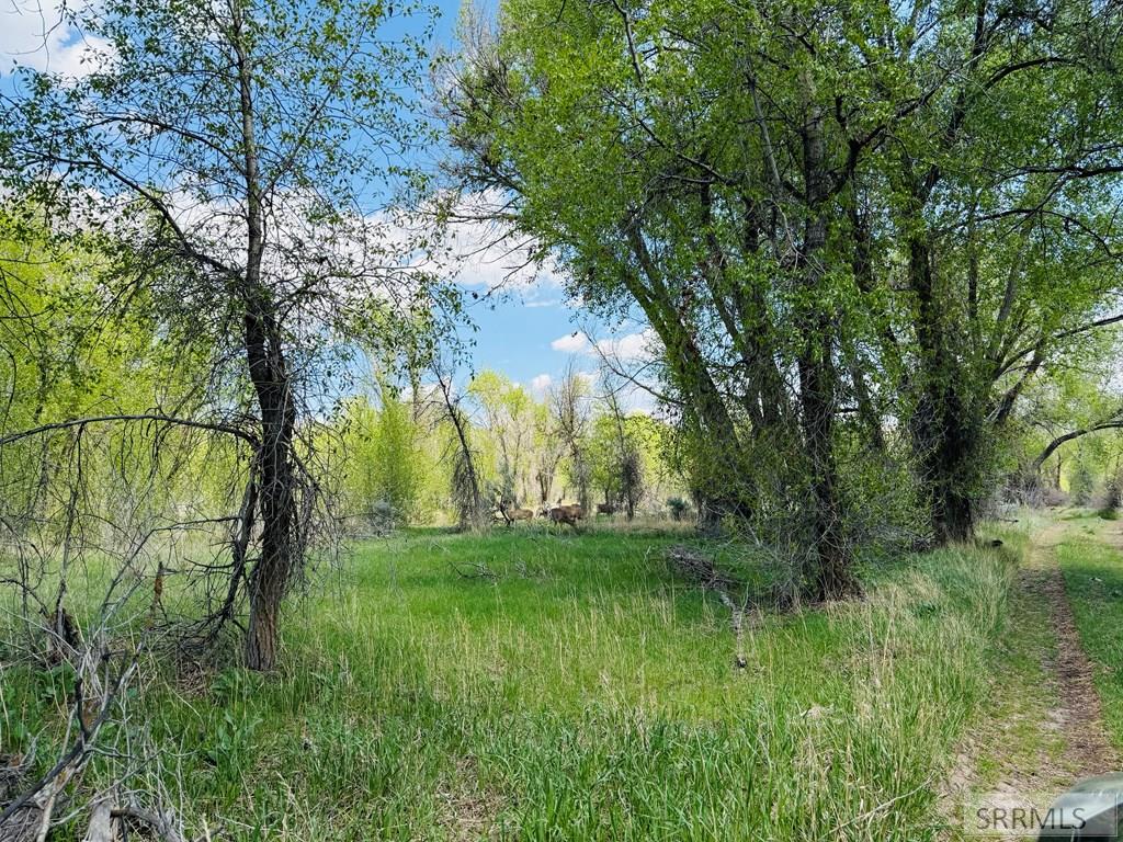 436 North 4200 East Rigby, ID 83442 - Photo 14 of 15