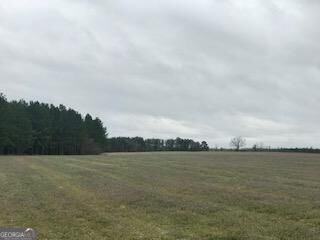 0 Davis Road Dexter, GA 31019 - Photo 1 of 1 Main View