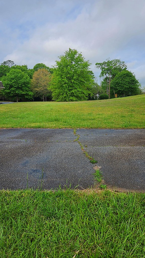 0 Ga Highway Hamilton, GA 31811 - Photo 2 of 6