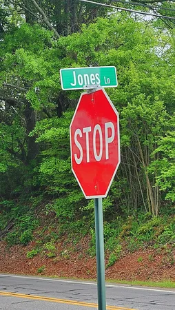$99,500 | 0 Ga Highway, Hamilton, GA 31811