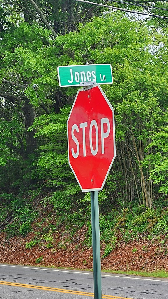 0 Ga Highway Hamilton, GA 31811 - Photo 3 of 6