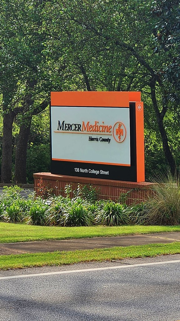 0 Ga Highway Hamilton, GA 31811 - Photo 4 of 6