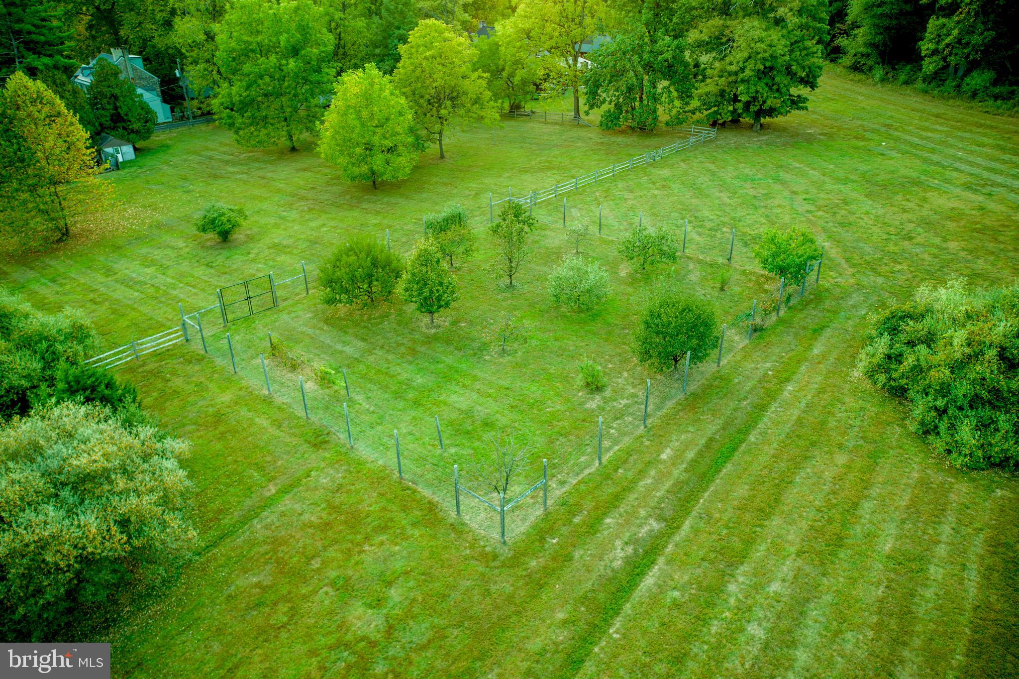 2855 Ash Mill Road Doylestown, PA 18902 - Photo 55 of 59 Fenced Orchard