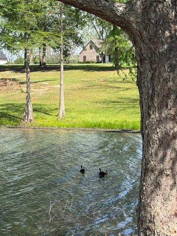 529 Davis Lake Road Columbia, LA 71418 - Photo 8 of 10