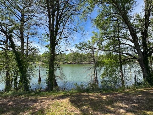 529 Davis Lake Road Columbia, LA 71418 - Photo 9 of 10