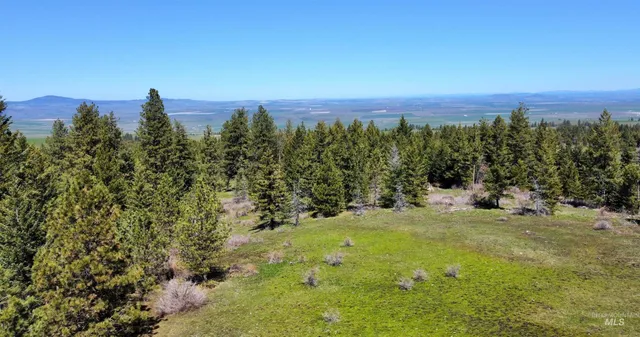 $200,000 | 2138-p 2 Old White Bird Hill Road, Grangeville, ID 83530