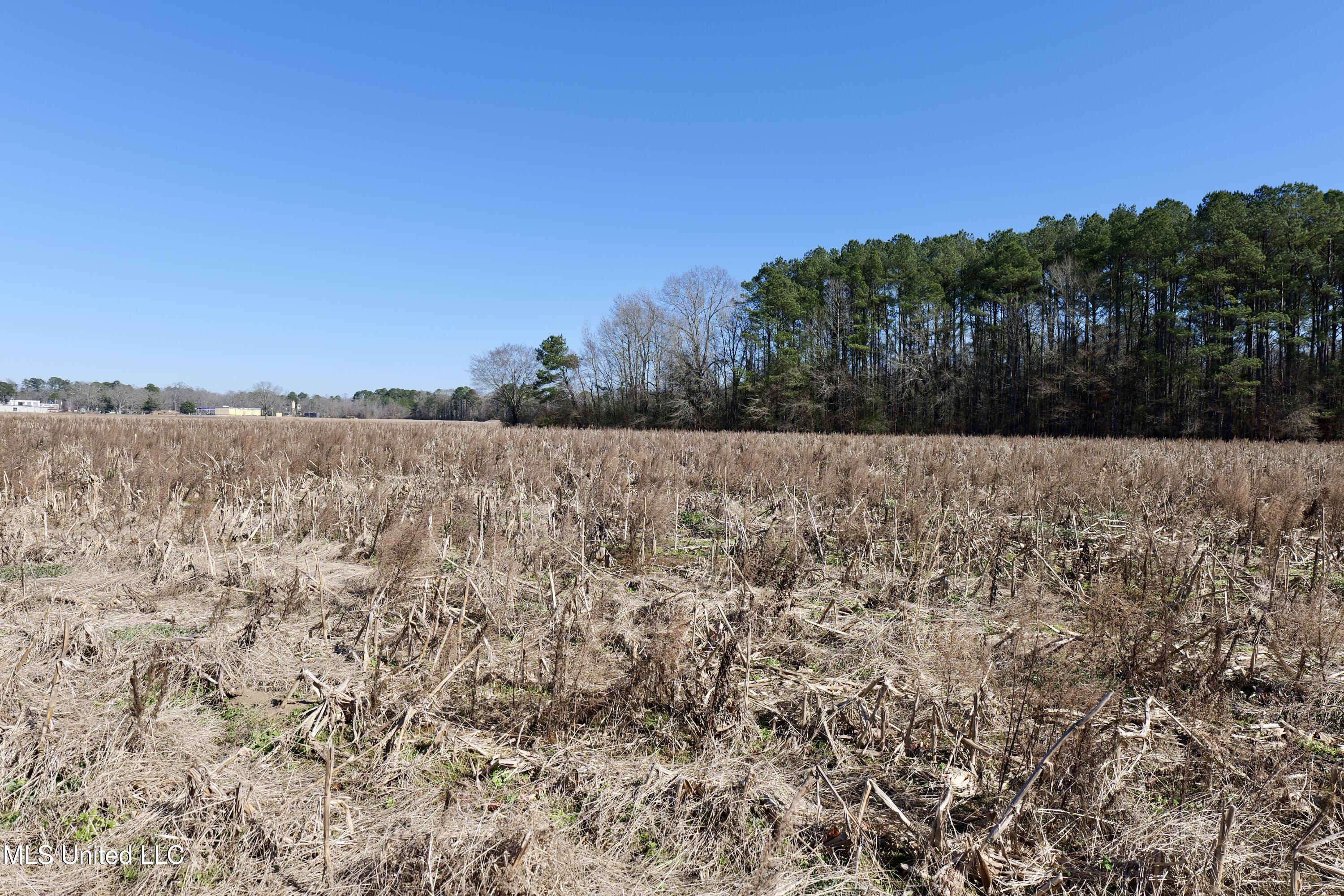 1 East Main Street Carthage, MS 39051 - Photo 11 of 19 P1011618