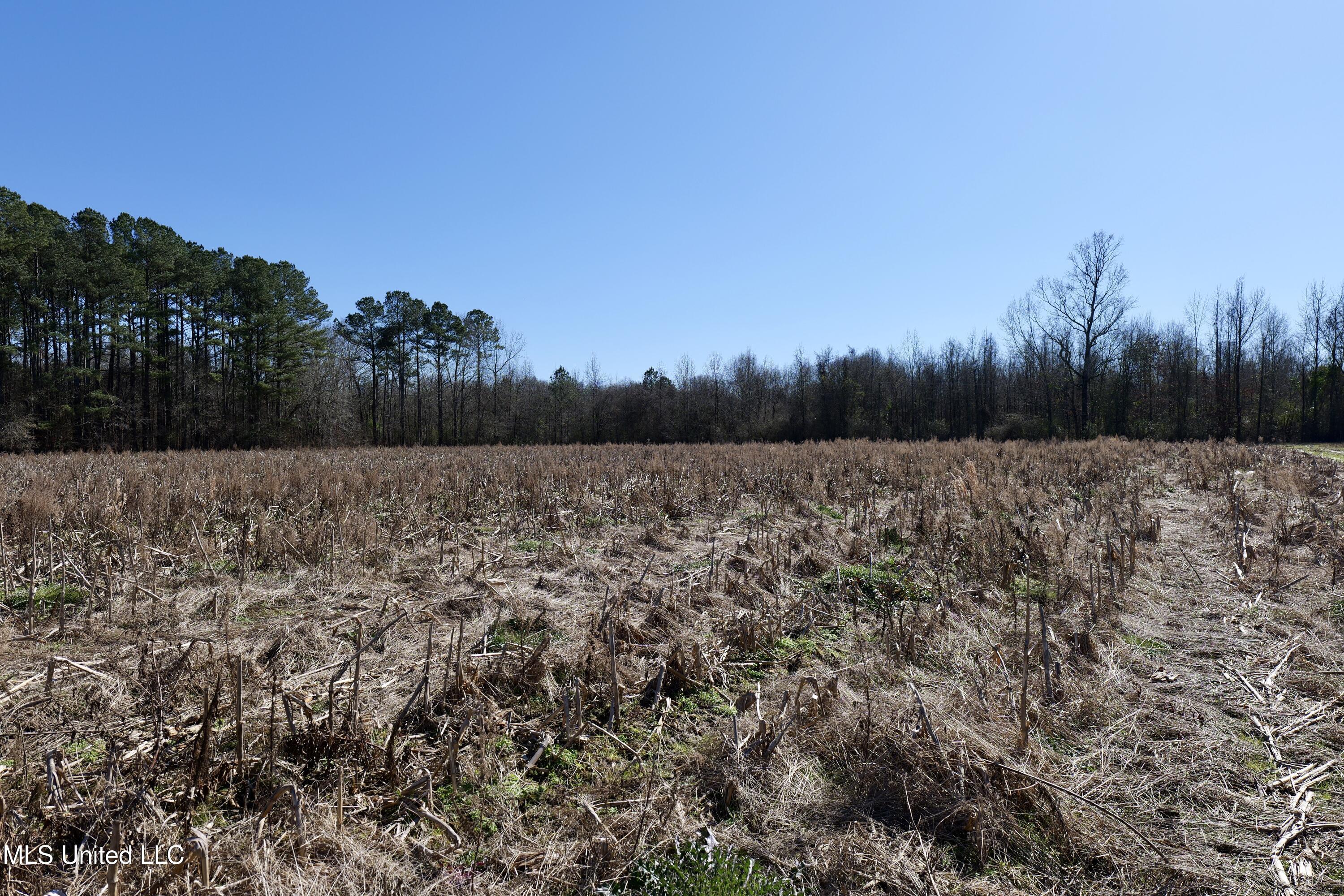 1 East Main Street Carthage, MS 39051 - Photo 12 of 19 P1011619