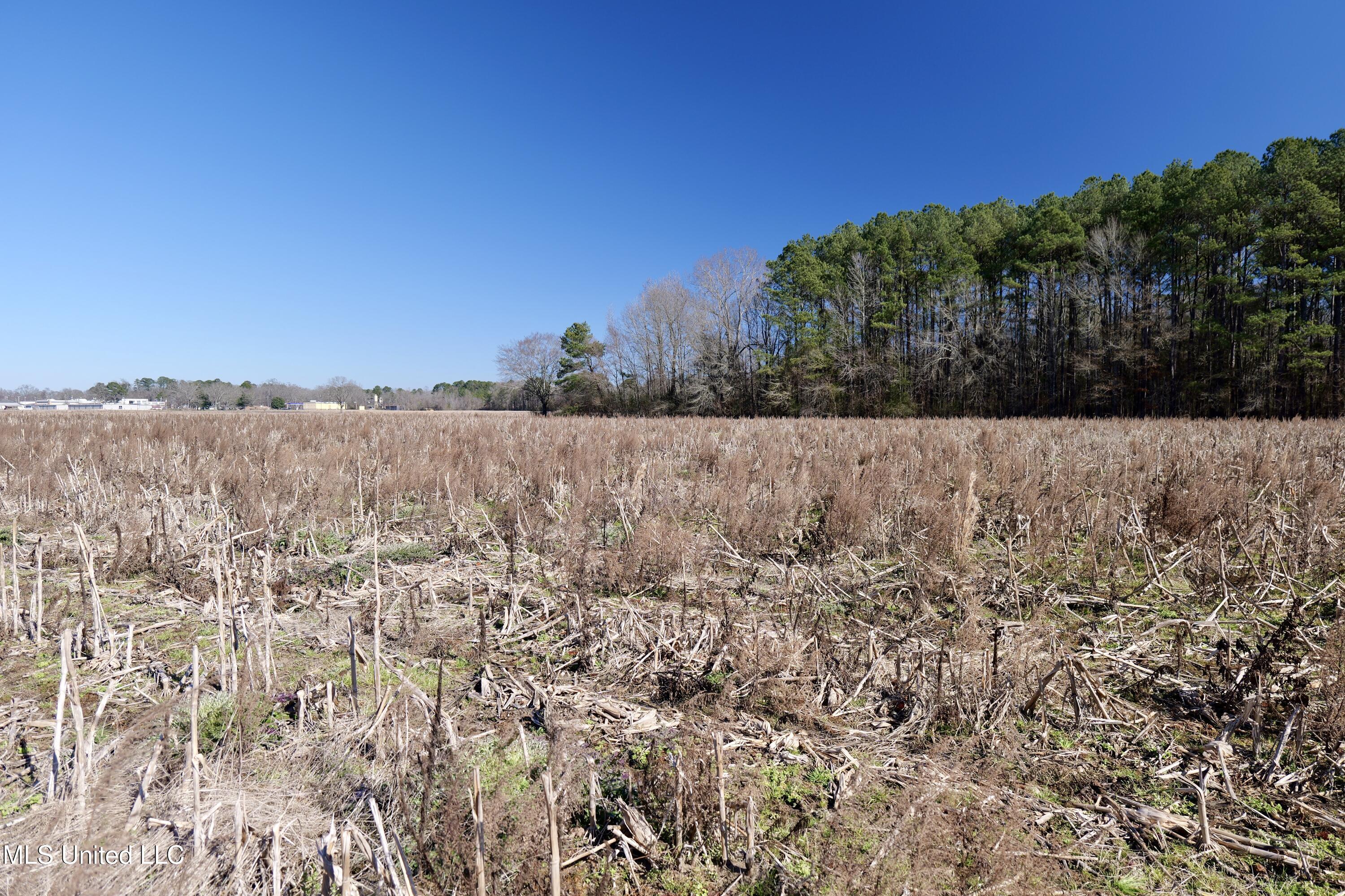 1 East Main Street Carthage, MS 39051 - Photo 14 of 19 P1011624