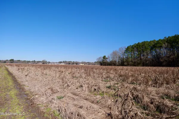 $500,000 | 1 East Main Street, Carthage, MS 39051