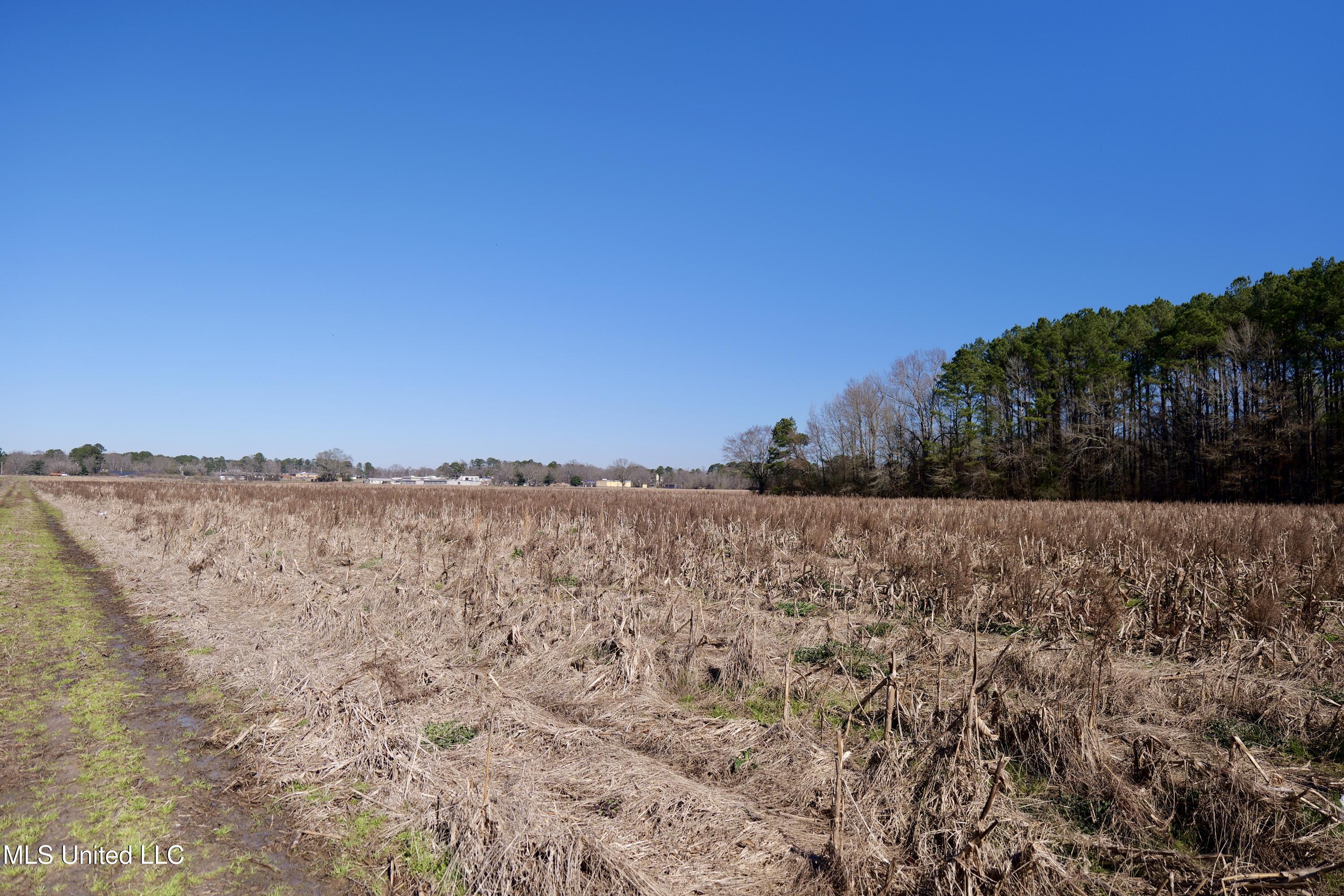 1 East Main Street Carthage, MS 39051 - Photo 17 of 19 P1011651
