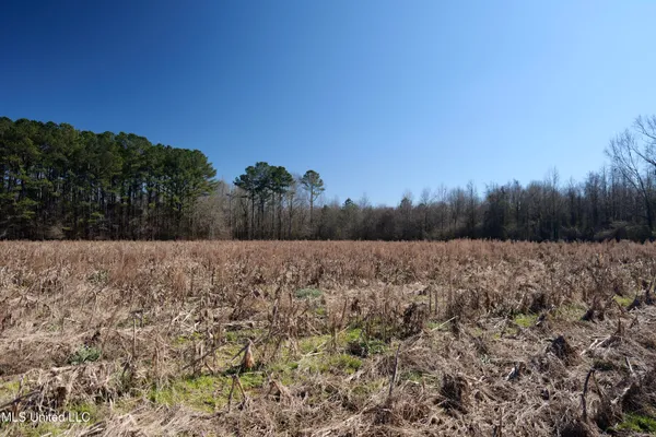 $500,000 | 1 East Main Street, Carthage, MS 39051