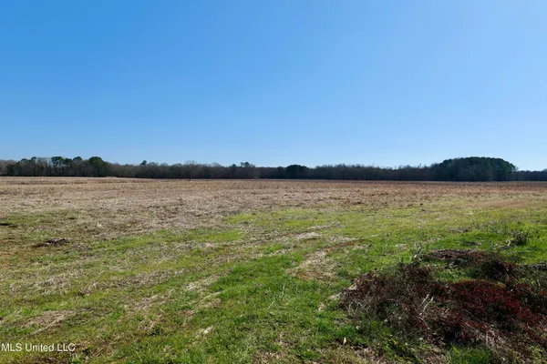 $500,000 | 1 East Main Street, Carthage, MS 39051