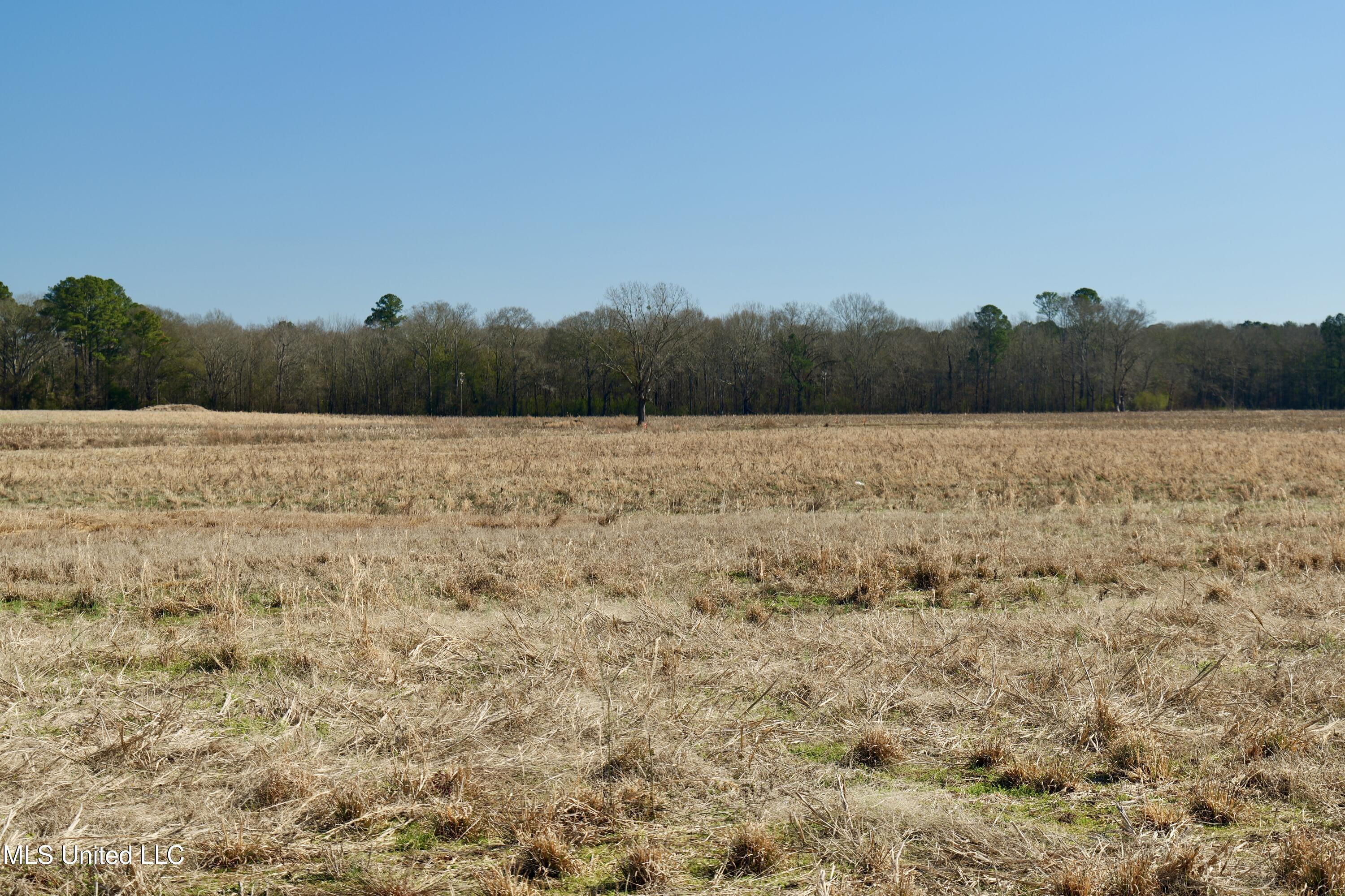 1 East Main Street Carthage, MS 39051 - Photo 6 of 19 P1011609