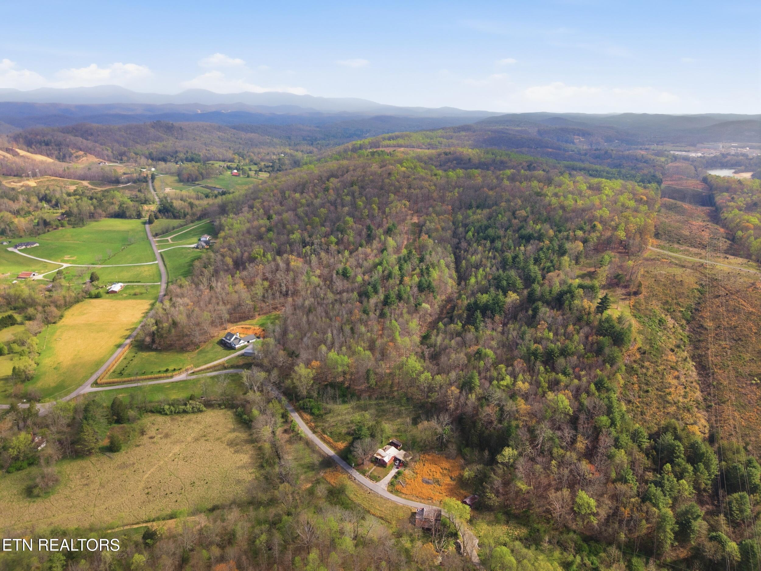 113 Brashears Road Harriman, TN 37748 - Photo 18 of 60 19_113_brashears_rd_18