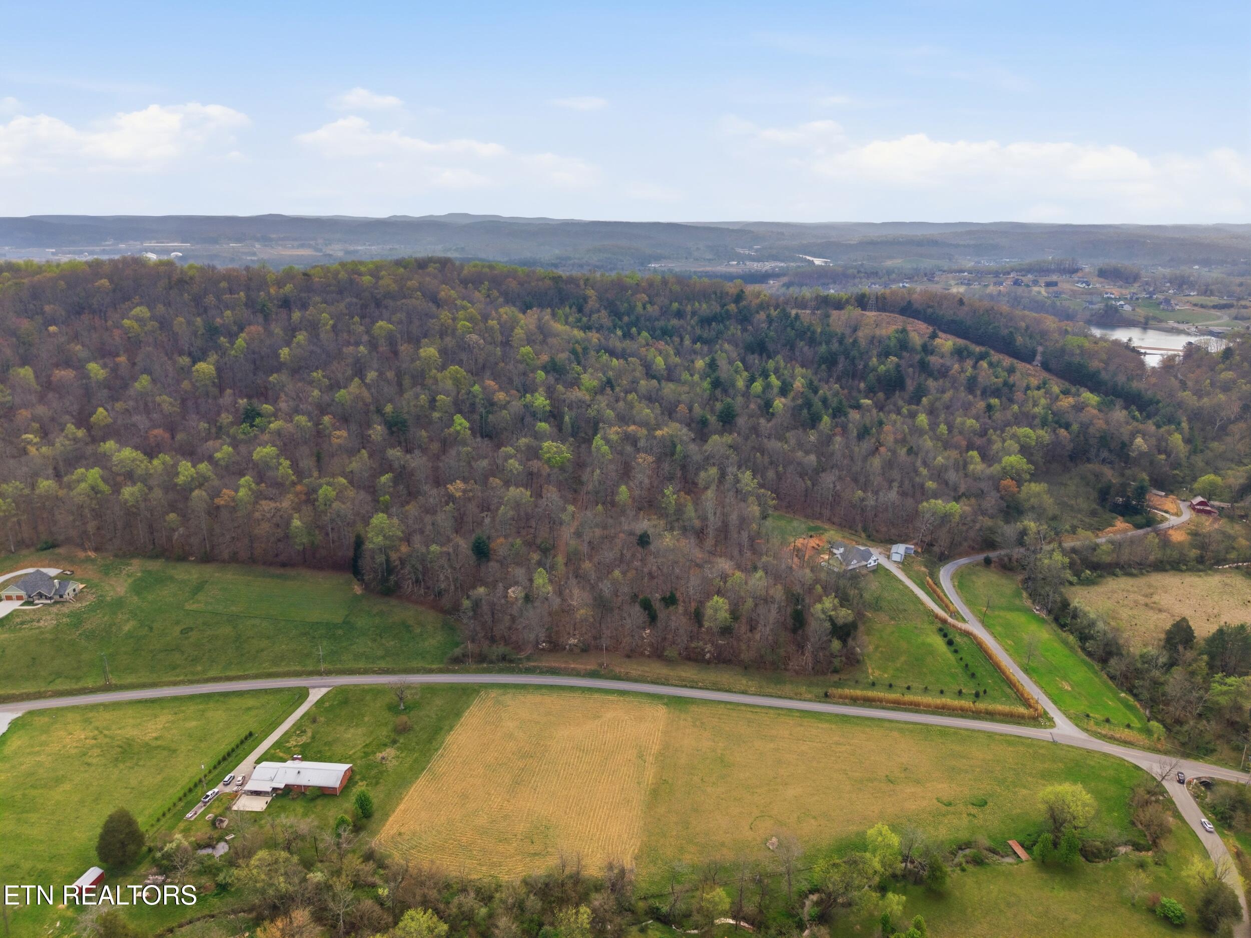 113 Brashears Road Harriman, TN 37748 - Photo 19 of 60 20_113_brashears_rd_19