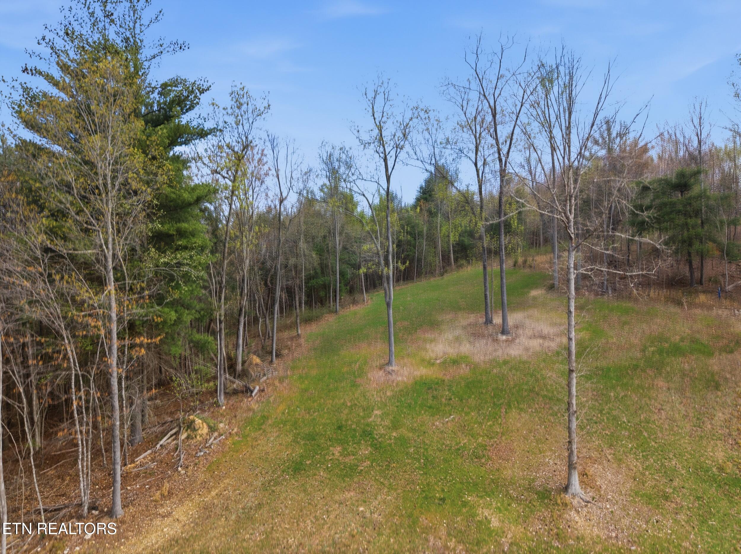 113 Brashears Road Harriman, TN 37748 - Photo 20 of 60 21_113_brashears_rd_20