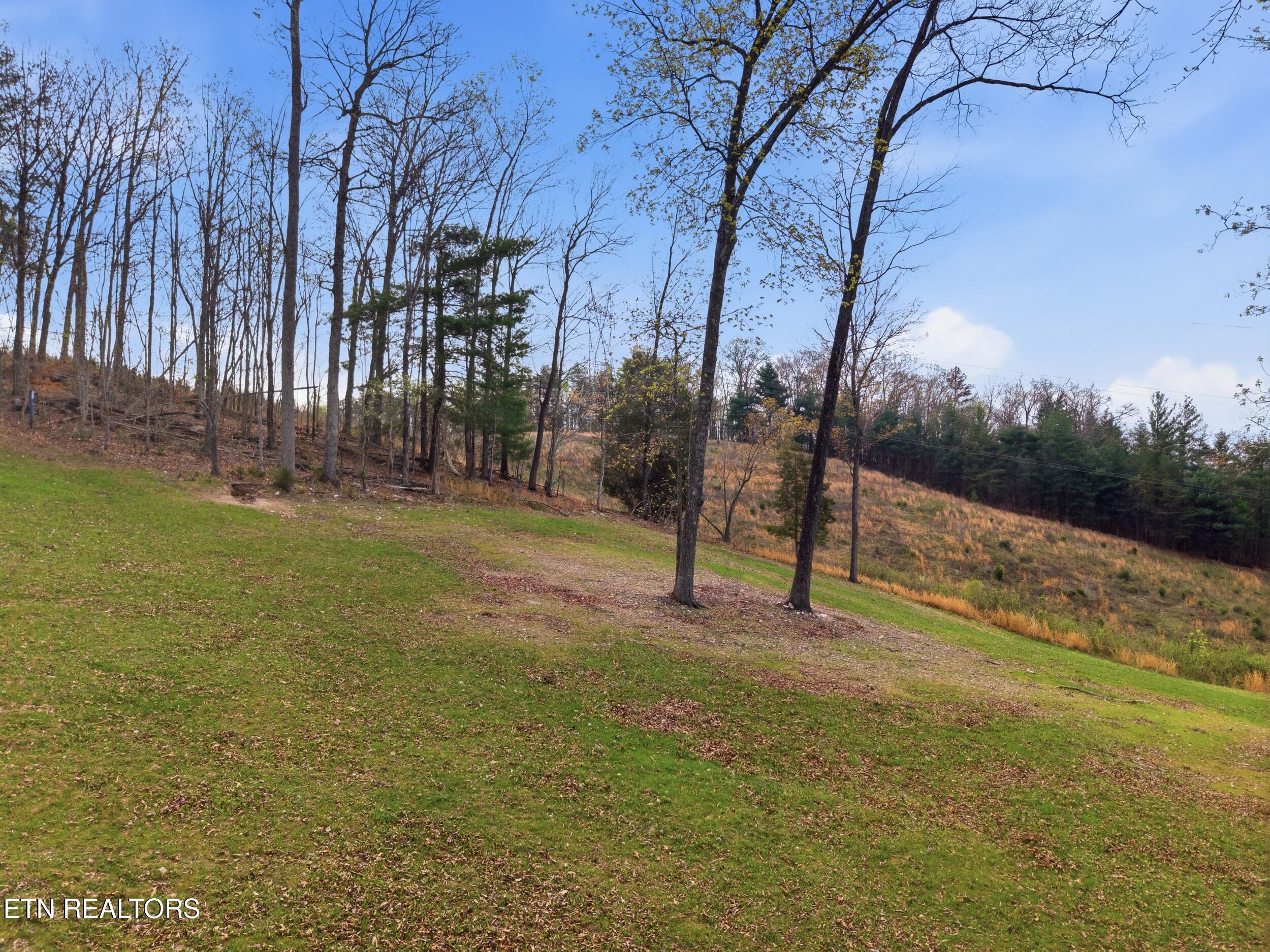 113 Brashears Road Harriman, TN 37748 - Photo 21 of 60 22_113_brashears_rd_21