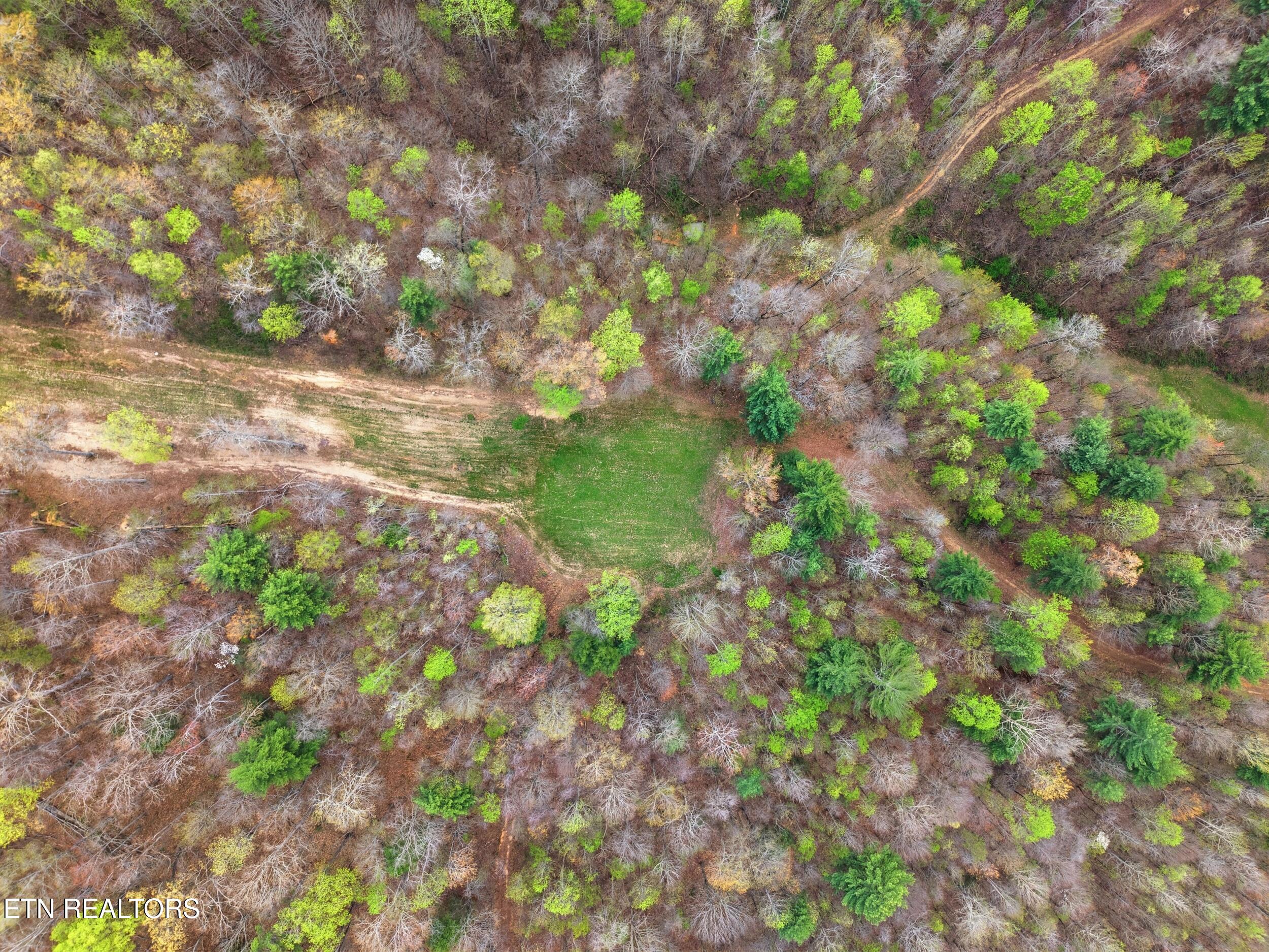 113 Brashears Road Harriman, TN 37748 - Photo 23 of 60 24_113_brashears_rd_23