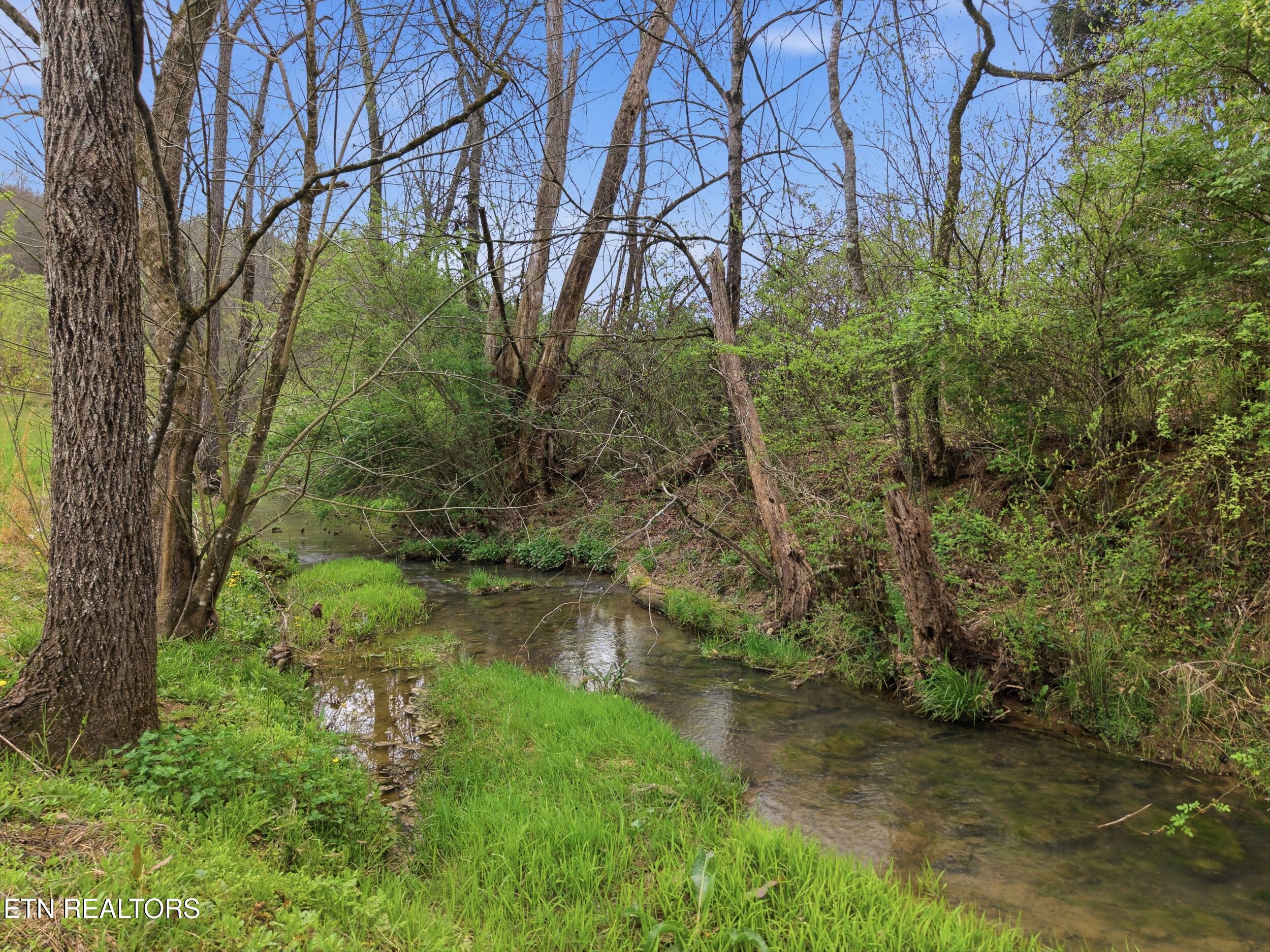 113 Brashears Road Harriman, TN 37748 - Photo 26 of 60 27_113_brashears_rd_26