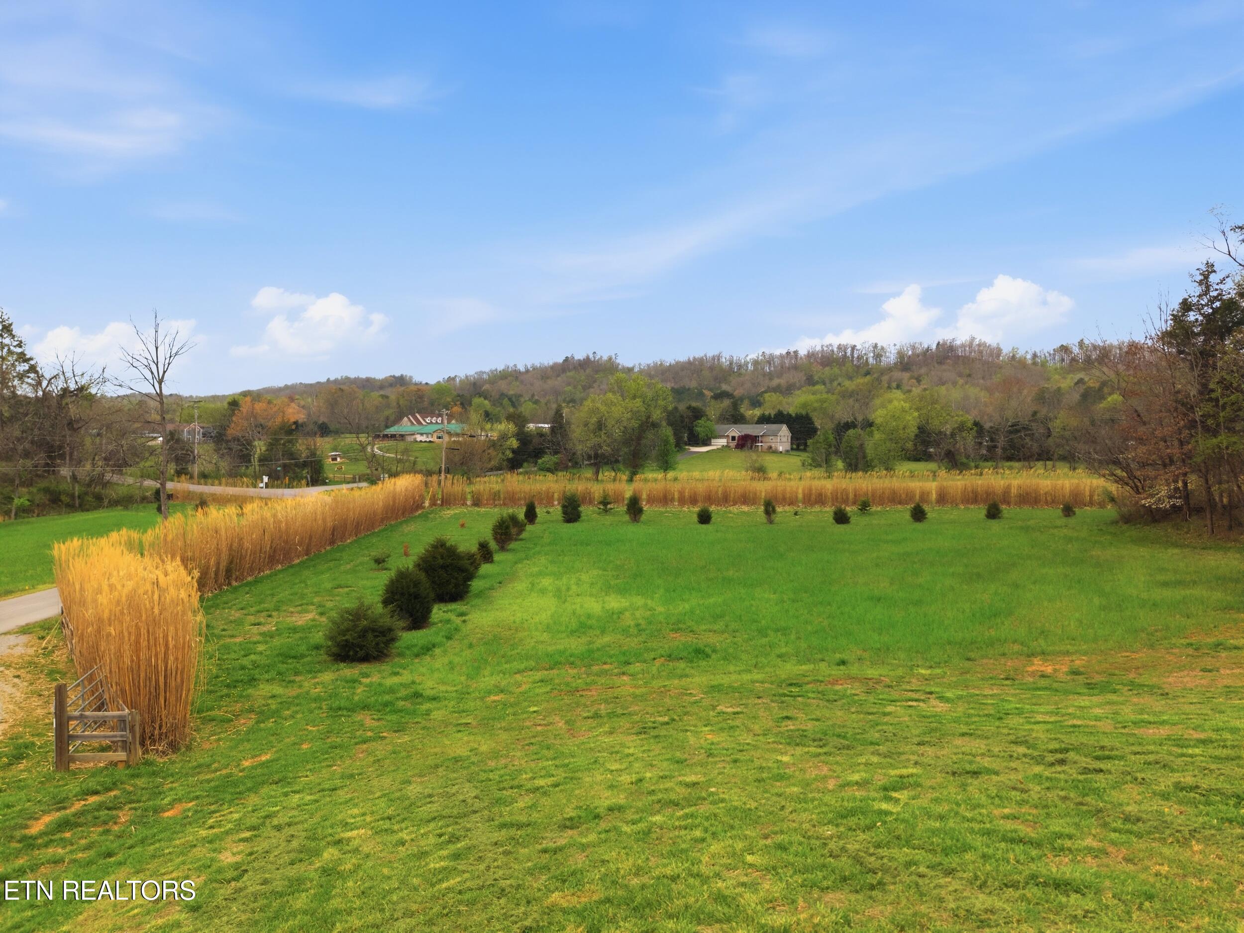 113 Brashears Road Harriman, TN 37748 - Photo 28 of 60 29_113_brashears_rd_28