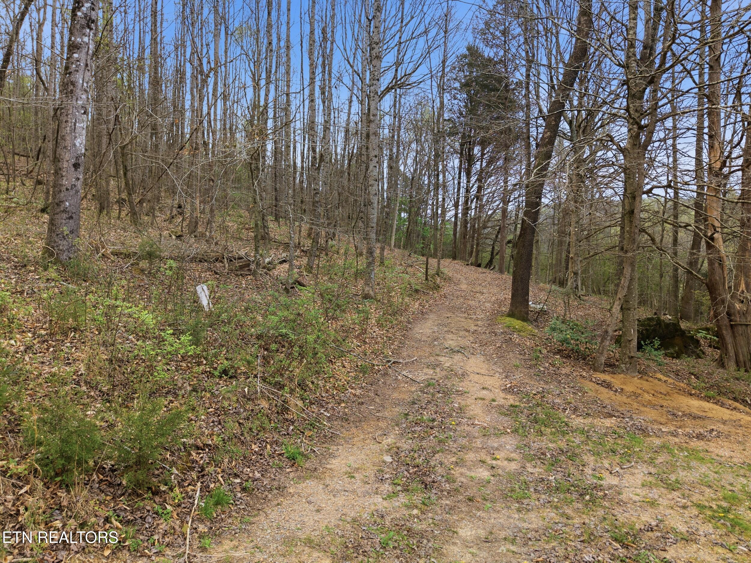 113 Brashears Road Harriman, TN 37748 - Photo 29 of 60 30_113_brashears_rd_29