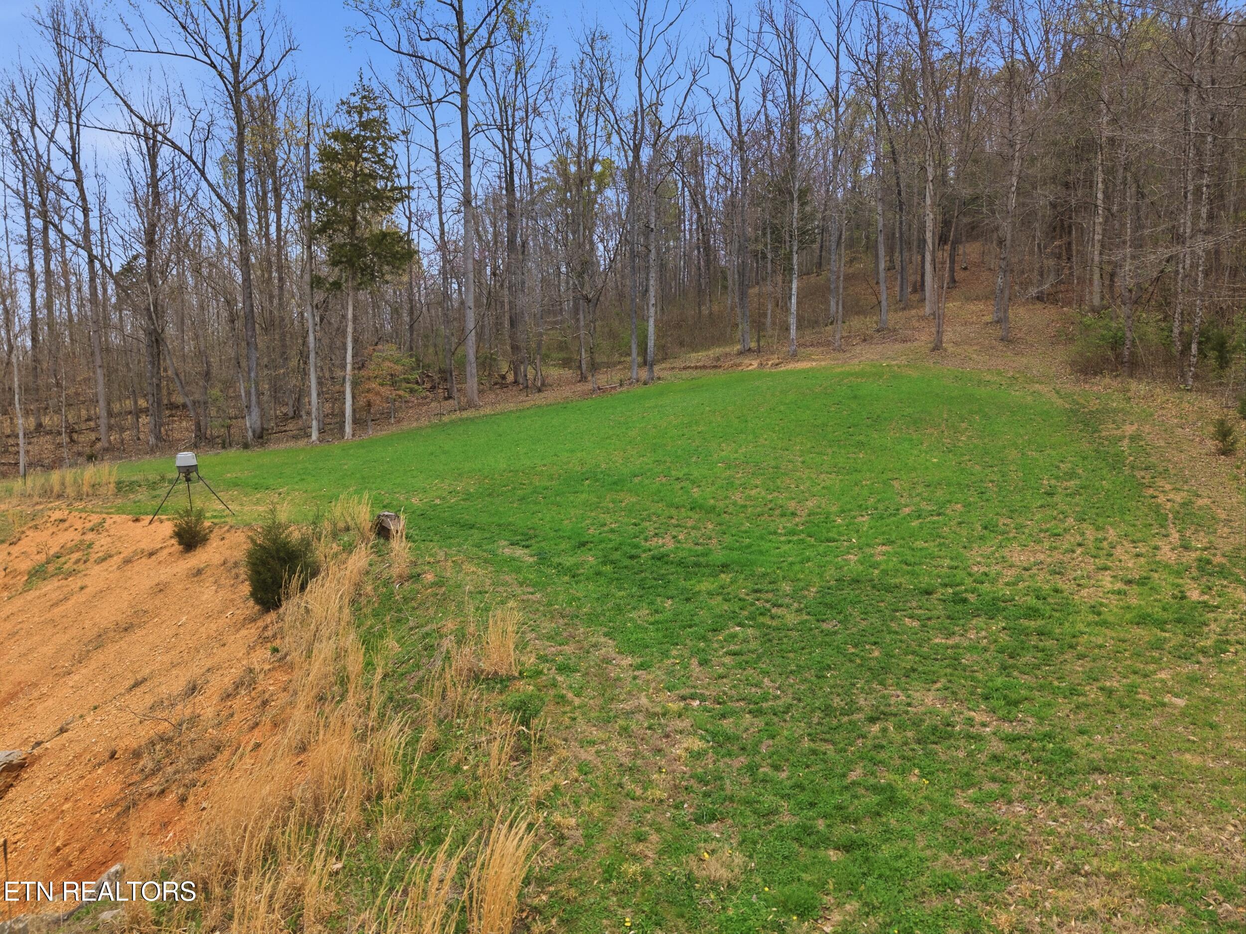 113 Brashears Road Harriman, TN 37748 - Photo 10 of 60 10_113_brashears_rd_10