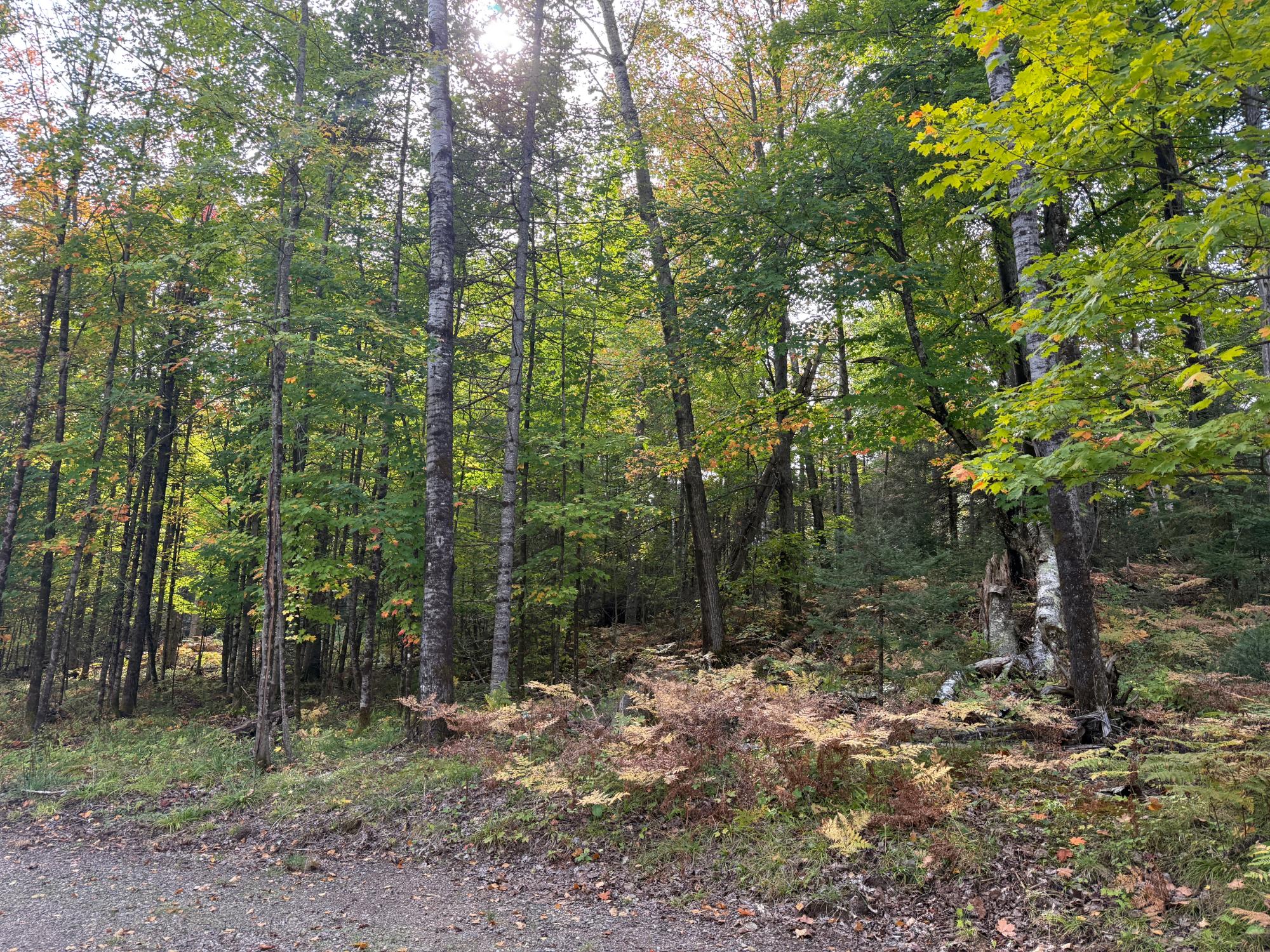 9533 Mallard Park Road Presque Isle, WI 54557 - Photo 6 of 10 Gallery Image 6