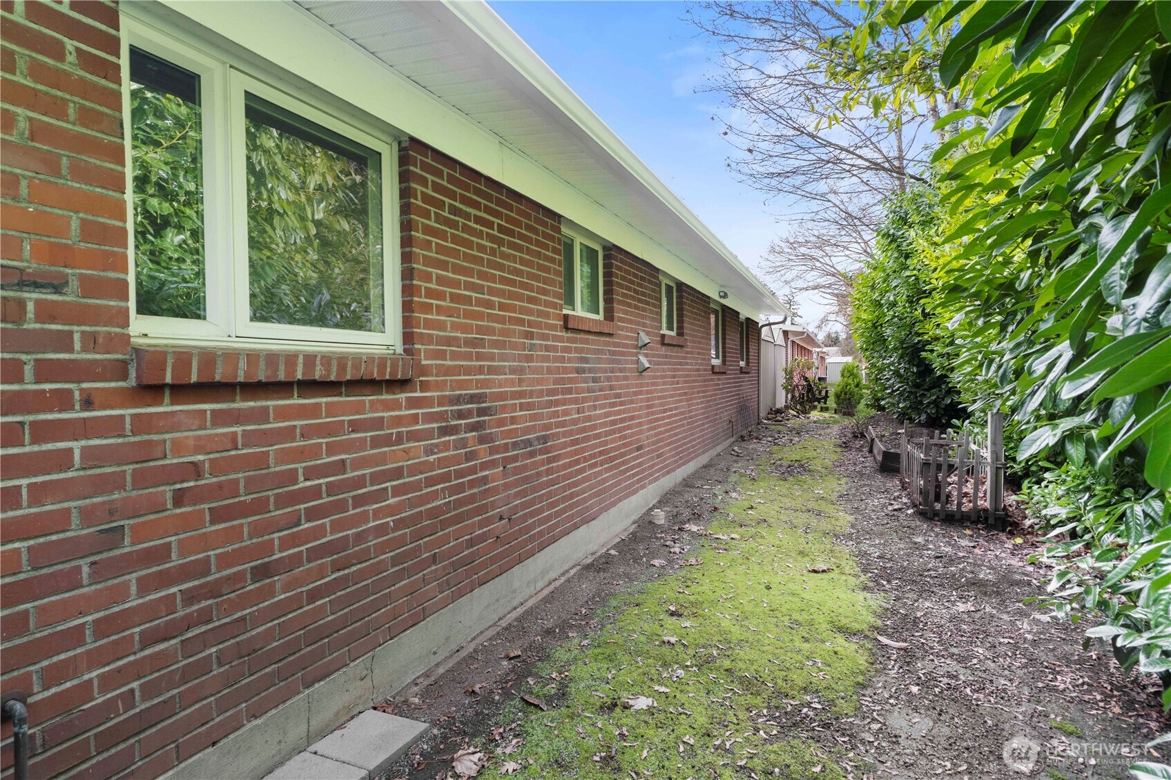 8414 John Dower Road Southwest, Unit 14 Lakewood, WA 98499 - Photo 22 of 33 a view of a backyard with large trees and plants