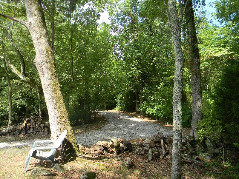 Hickory Ridge Road White Pine, TN 37890 - Photo 3 of 19 0 Hickory Ridge Road, Jenkins 002